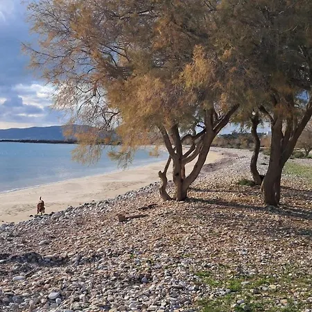 公寓 Irene's House In