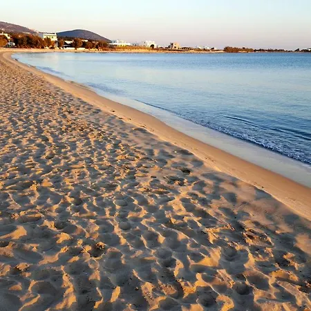 Apartment Irene's House In