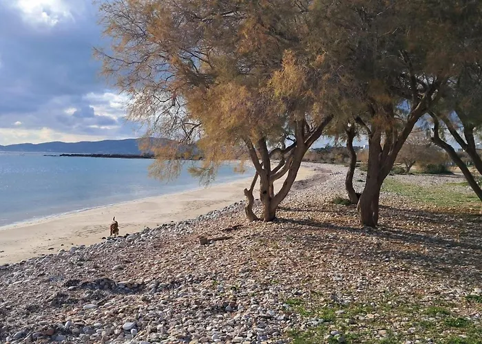 アパート Irene's House In